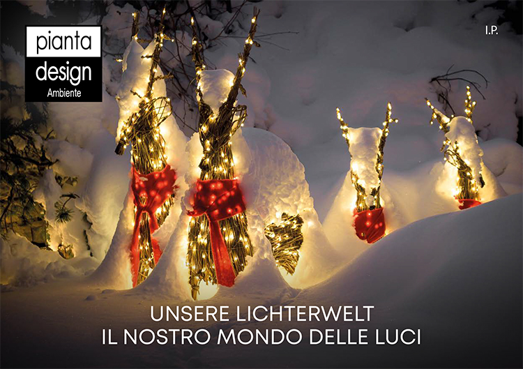 Il nostro mondo delle luci